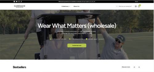 Enhanced Search Interface