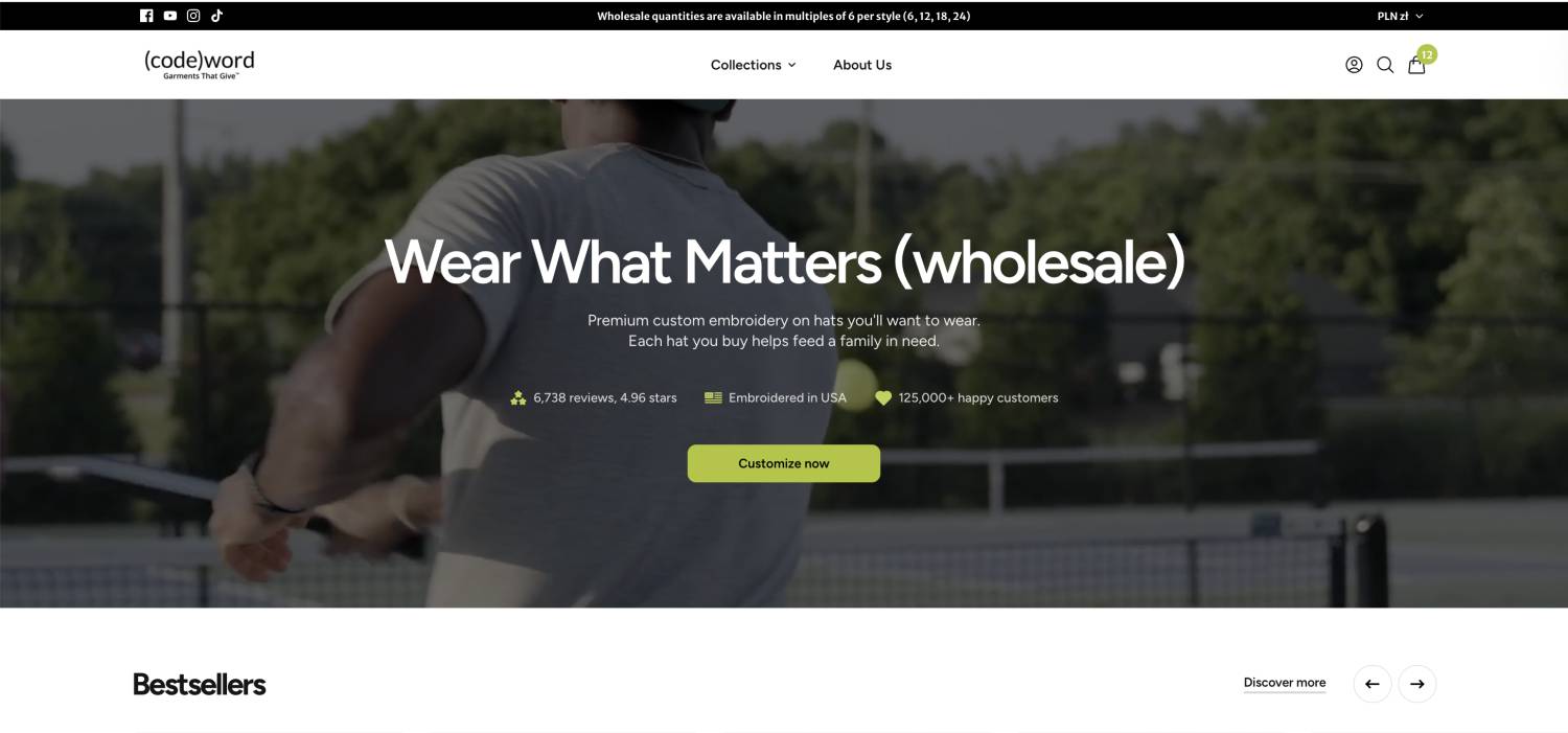 Enhanced Search Interface (before)